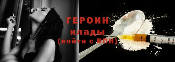 дмт Богданович