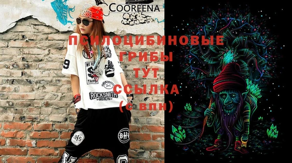 гашик Волоколамск