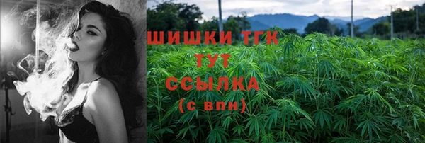 дмт Богданович