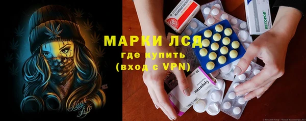 прущий лед Бородино